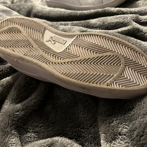 Pumas - Picture 2 of 5